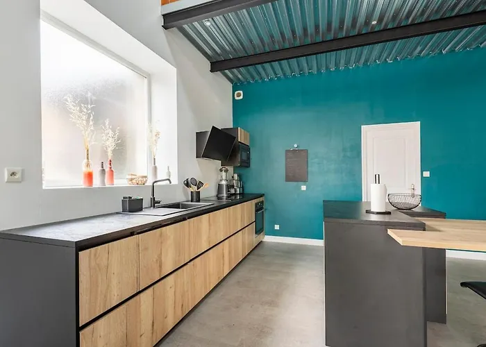 Apartament Loft Chaleureux *